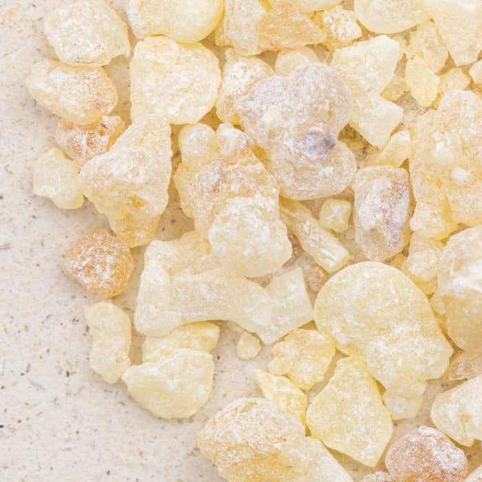 Boswellia Serrata du Yémen