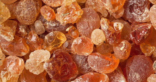 gomme arabique